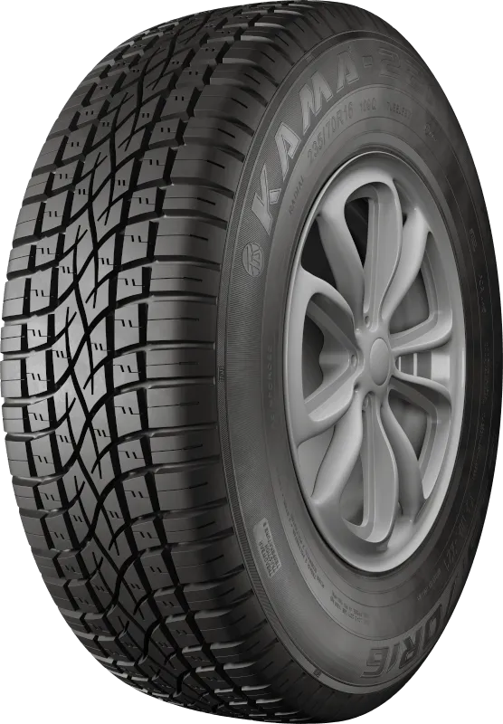 KAMA-221 в Большое Камени — KAMA TYRES KAMA-221 в Большое Камени